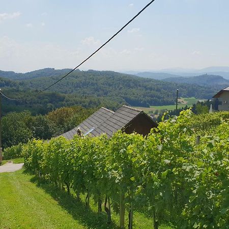 Zidanica Meglic - Vineyard Cottage Meglic Trebnje Exterior photo