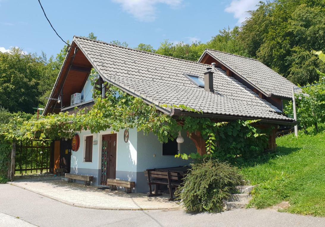 Zidanica Meglic - Vineyard Cottage Meglic Trebnje Exterior photo