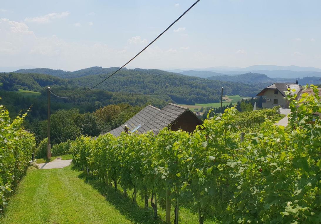 Zidanica Meglic - Vineyard Cottage Meglic Trebnje Exterior photo