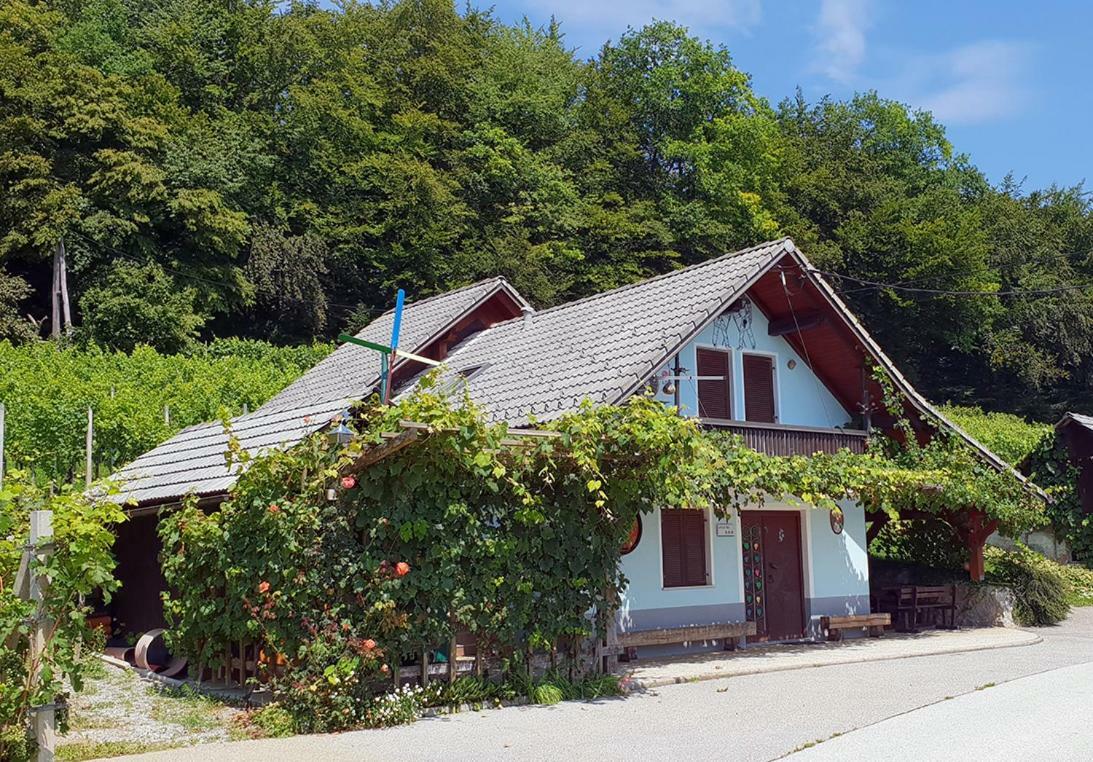Zidanica Meglic - Vineyard Cottage Meglic Trebnje Exterior photo